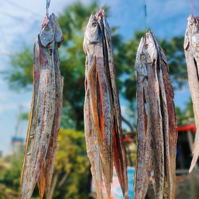 ছুড়ি শুটকি বড় সাইজ (৮-১০ পিসে ১ কেজি)