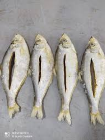 অর্গানিক চইক্কা মাছের শুটকি